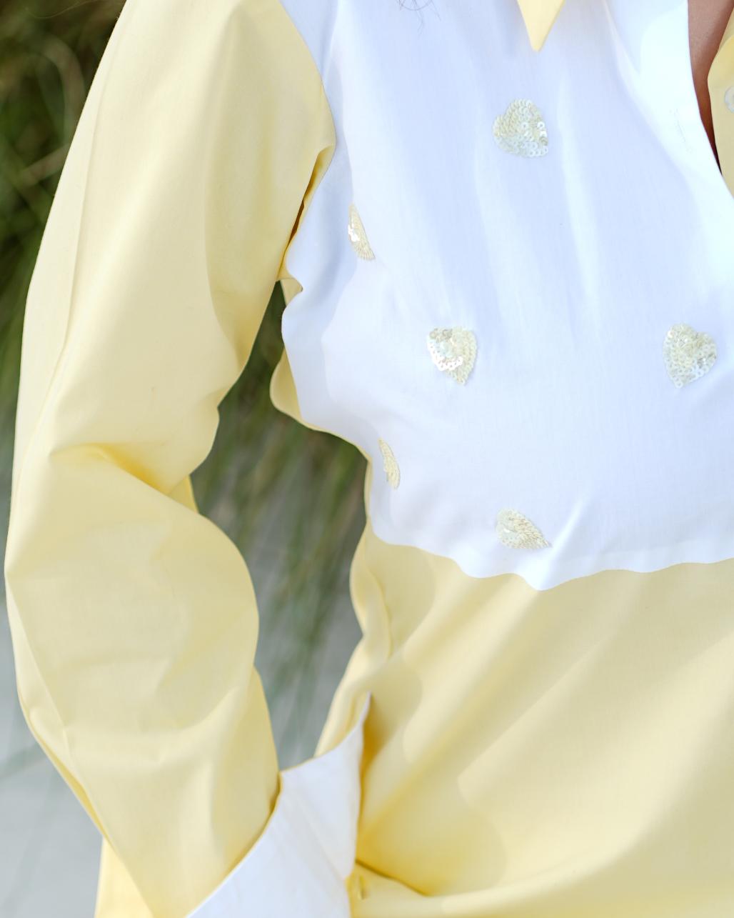 Sizzle- Color block Shirt with handwork detailing in Cotton