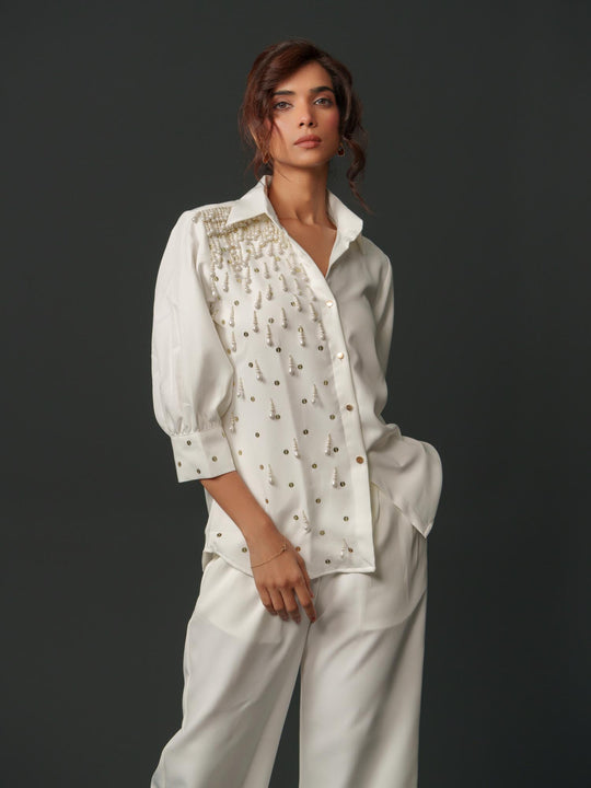 Gracy - Party wear shirt with handwork