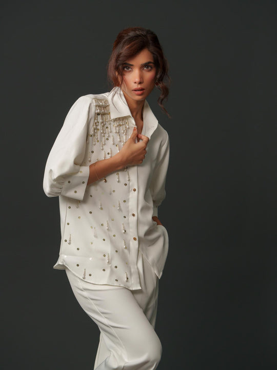 Gracy - Party wear shirt with handwork
