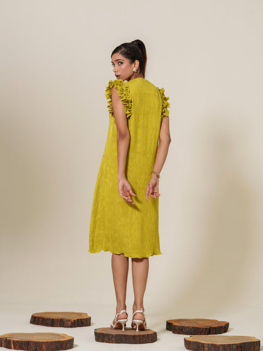 Scarlet- Knee Length Frilled Sleeveless Dress