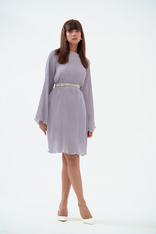 Buy Crystal Pleated Dress with Sleeves for Elegant Style & Comfort