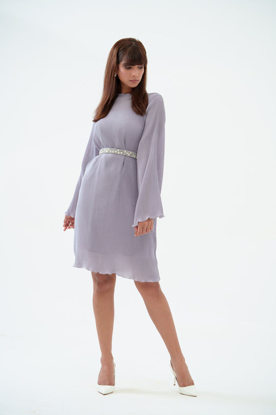 Shop Online for Crystal Pleated Dress with Sleeves 