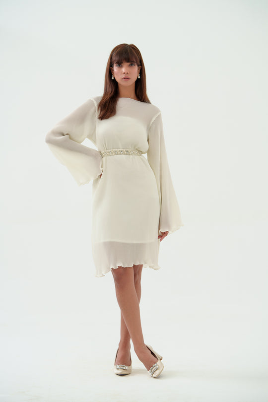 Crystal - Pleated Dress with Sleeves