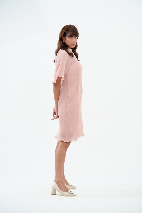 Twinkle -The Pleated Dress with Sleeves
