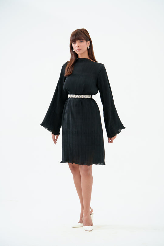 Crystal - Pleated Dress with Sleeves