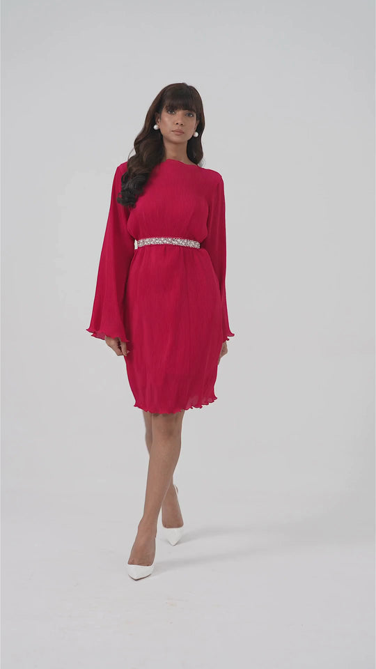 Crystal - Pleated Dress with Sleeves