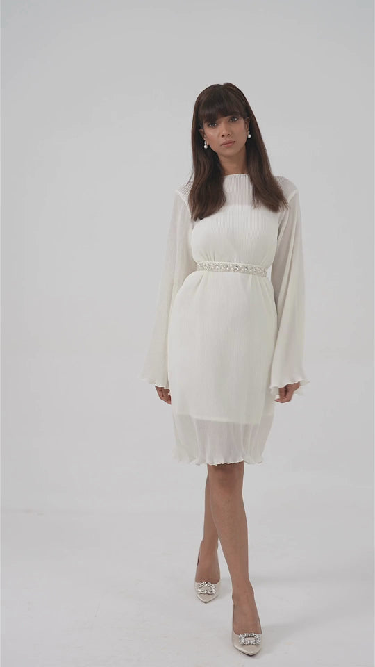 Crystal - Pleated Dress with Sleeves